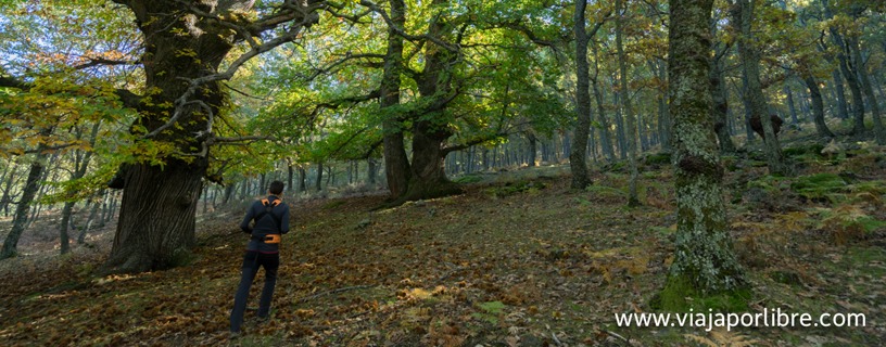 (Español) 5 rutas para el otoño