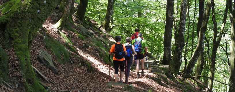 Alimentación en la montaña e hidratación en los deportes de montaña