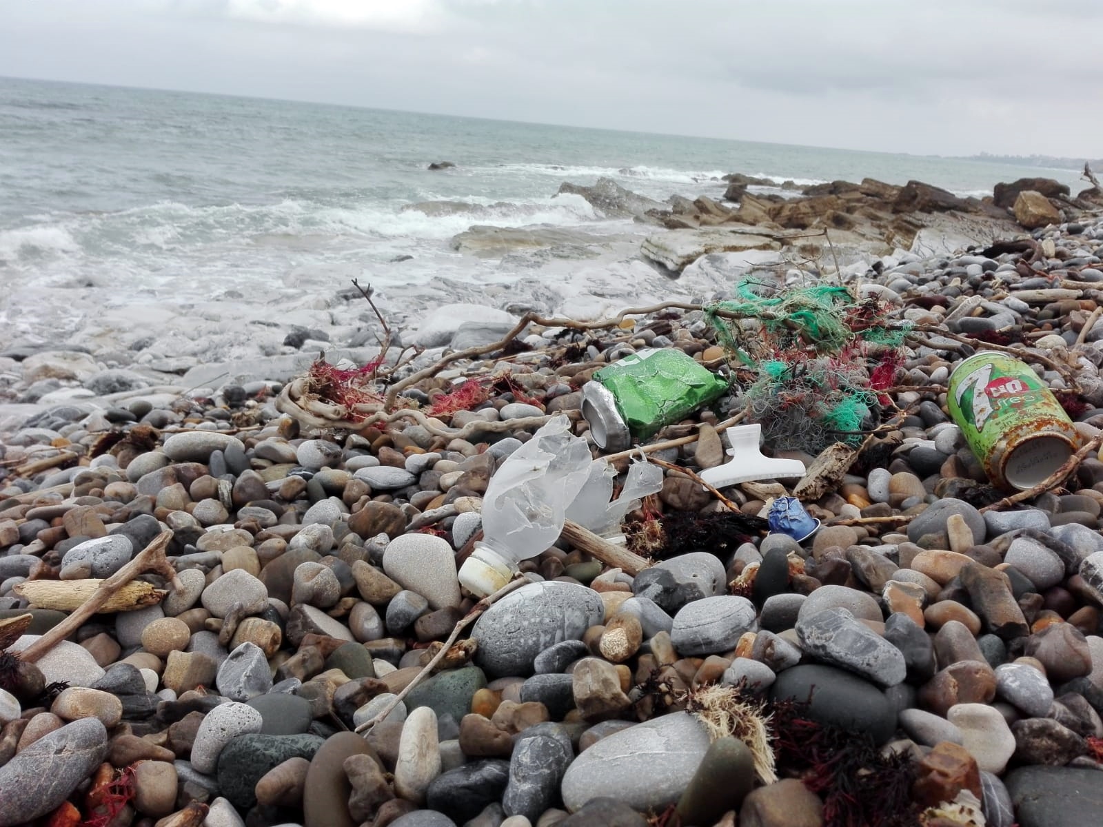 "La costera del Plastifish": un proyecto para limpiar el océano de microplásticos