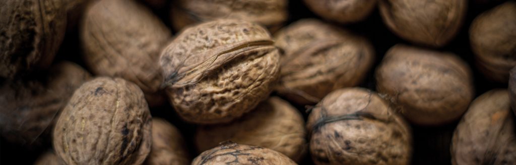 Ternua Nutcycle walnuts recovered from cider houses in order to make a natural dye