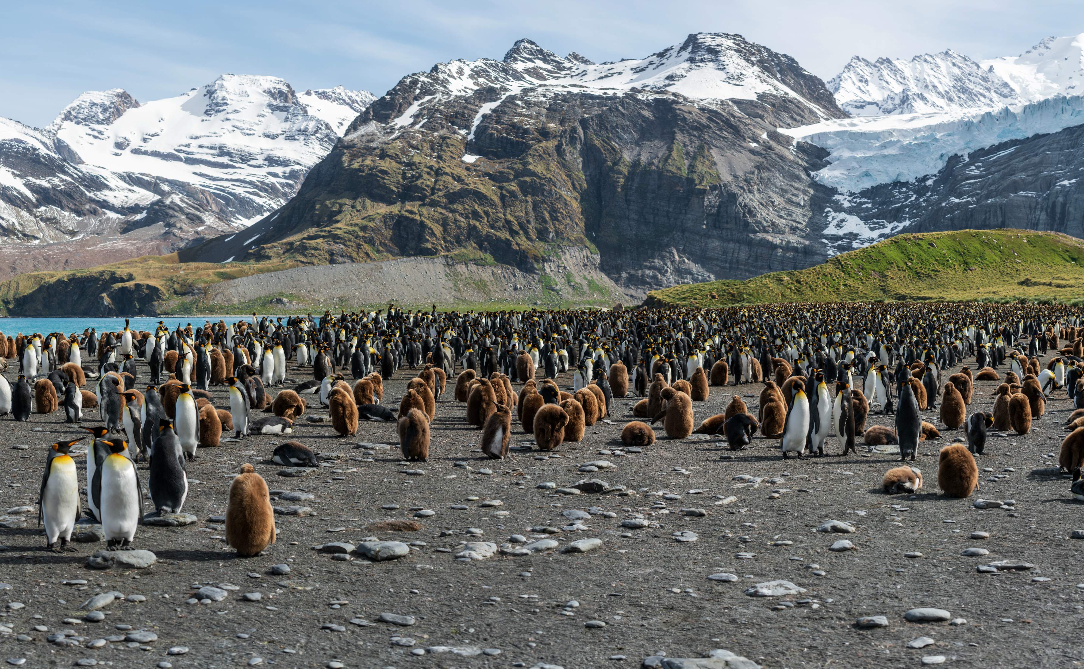 5 documentales sobre medio ambiente y sostenibilidad imperdibles