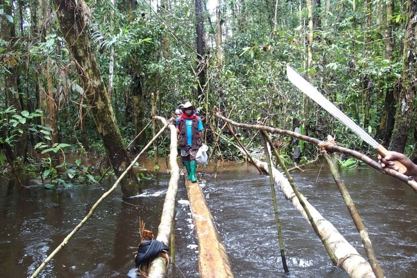 río selva Papúa