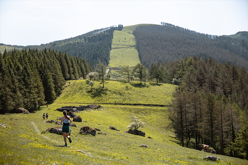 Oinddi ternua adarra trail